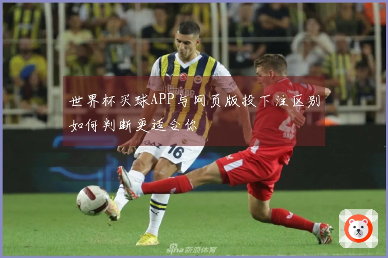世界杯买球APP与网页版投下注区别如何判断更适合你