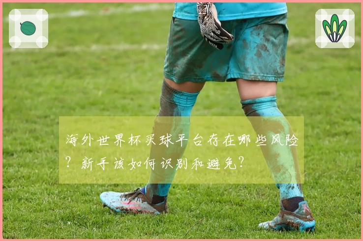 海外世界杯买球平台存在哪些风险？新手该如何识别和避免？
