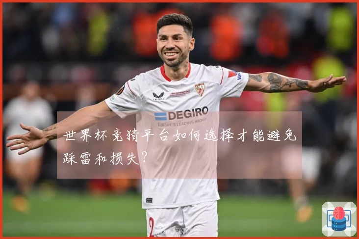 世界杯竞猜平台如何选择才能避免踩雷和损失？