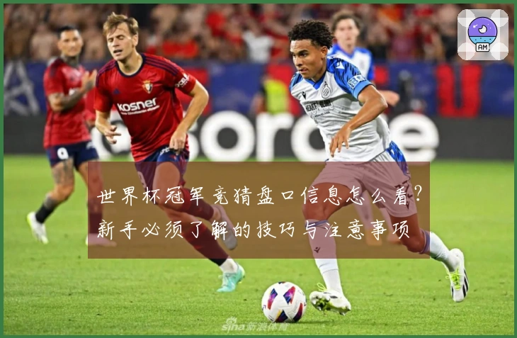 世界杯冠军竞猜盘口信息怎么看？新手必须了解的技巧与注意事项