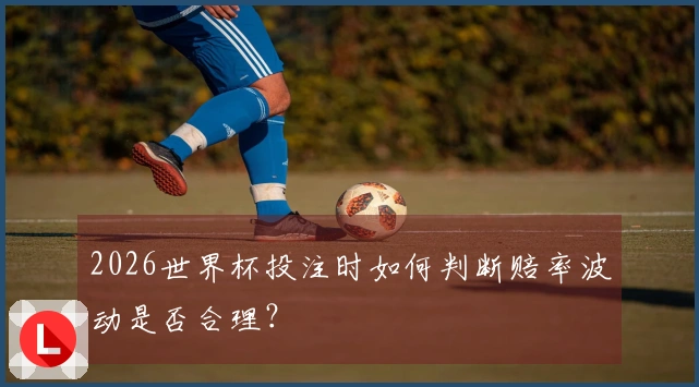 2026世界杯投注时如何判断赔率波动是否合理？