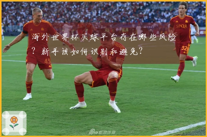 海外世界杯买球平台存在哪些风险？新手该如何识别和避免？