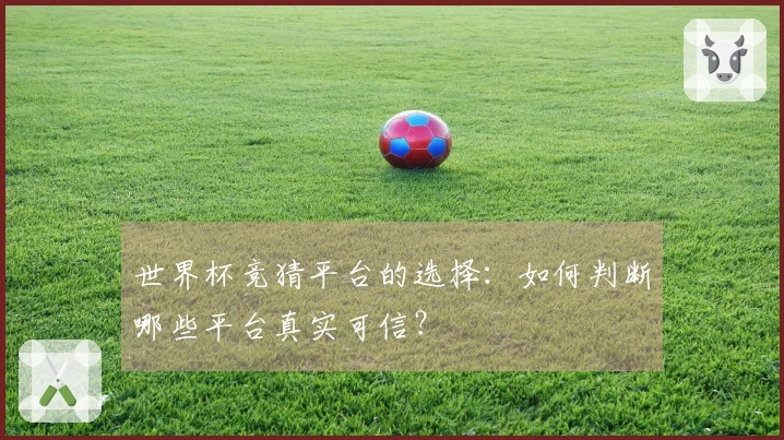 世界杯竞猜平台的选择：如何判断哪些平台真实可信？
