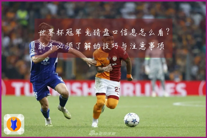 世界杯冠军竞猜盘口信息怎么看？新手必须了解的技巧与注意事项